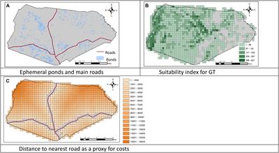 Delineating Conservation Areas for Cohabiting Species: An Example of Vernal Pond Conservation From Fort Stewart in Georgia, United States